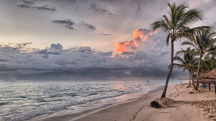 Flights from Brussels to Santo Domingo, DOMINICAN REPUBLIC from €627