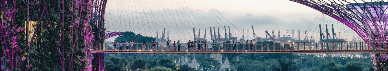 singapore_view