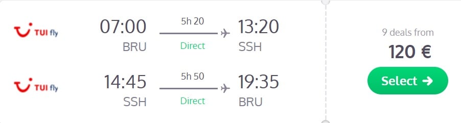 last minute flights brussels egypt