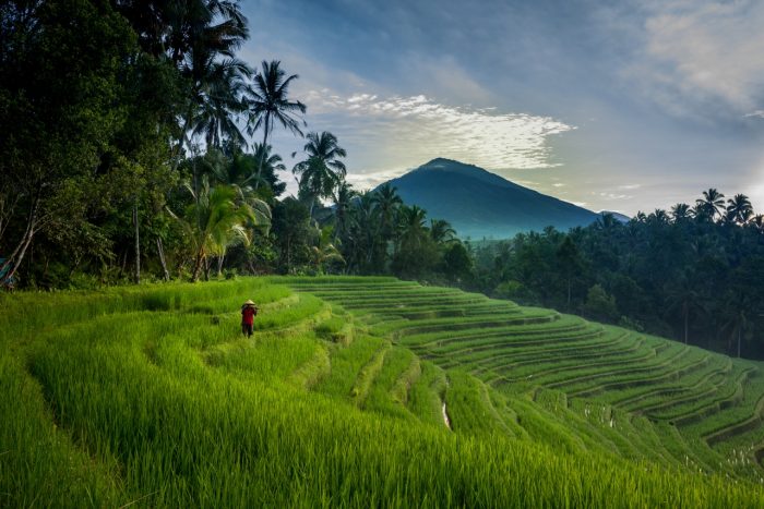 Flights from Amsterdam to JAKARTA, INDONESIA for €363