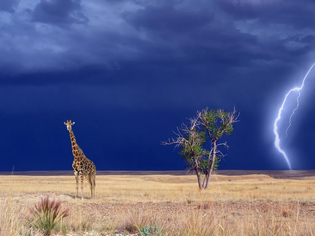 LAST MINUTE! Direct flights from Warsaw to Mombasa, KENYA for €256 (checked baggage incl.)