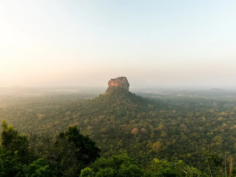 HIT! Cheap flights from Vienna to Colombo, SRI LANKA from €311