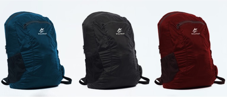 daily backpack