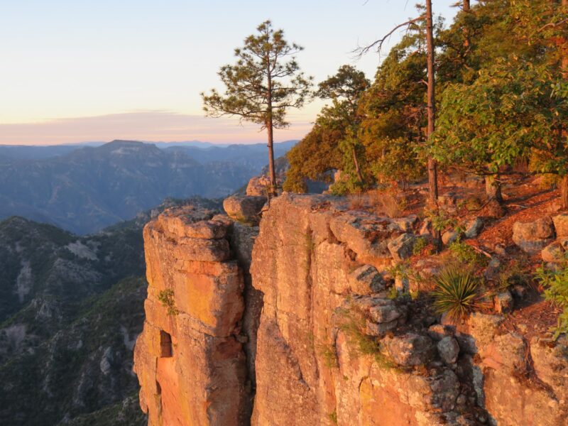 Copper Canyon mexico