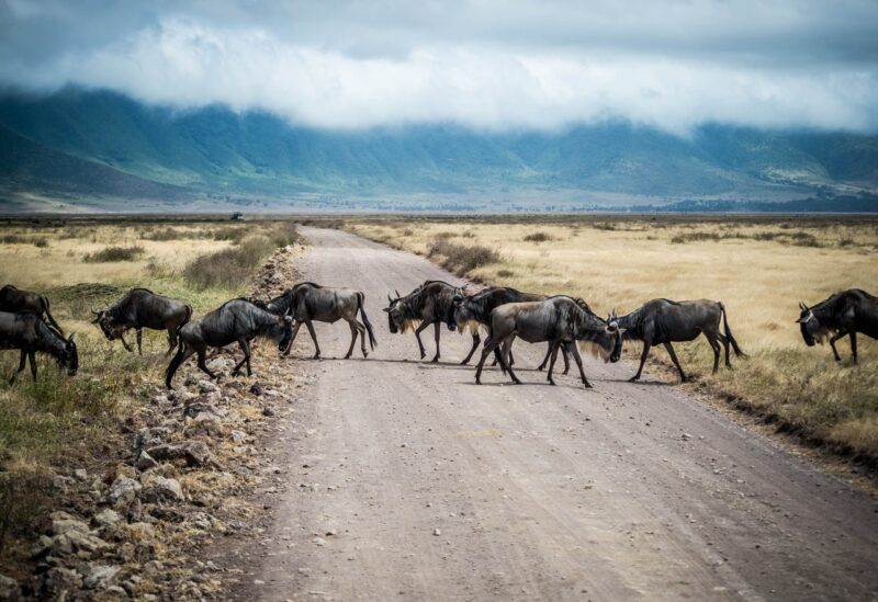 best places to visit in tanzania