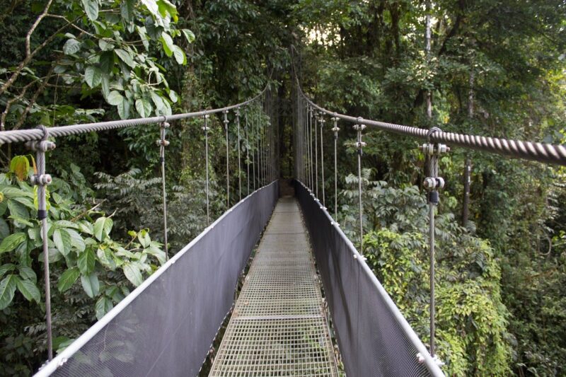 monteverde cloud forest reserve costa rica