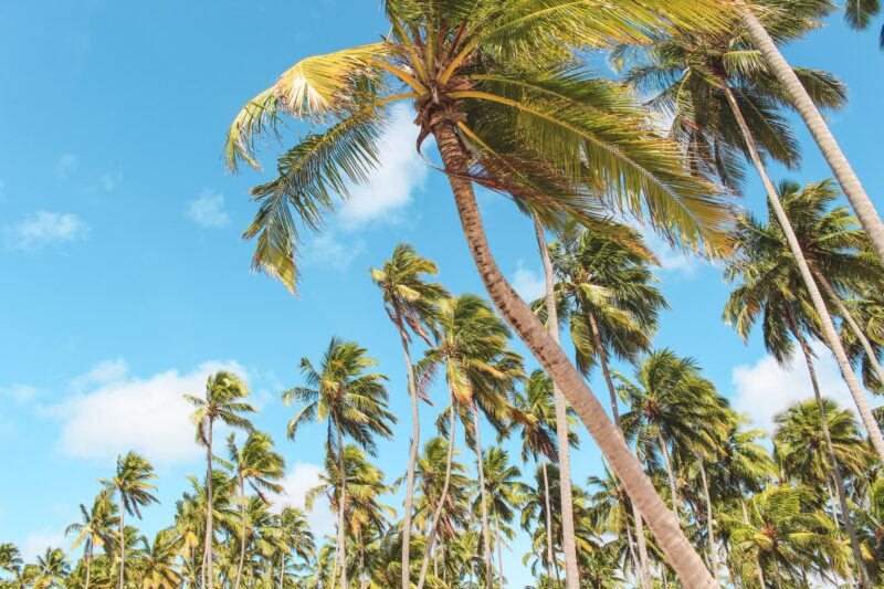 Puerto Viejo de Talamanca costa rica
