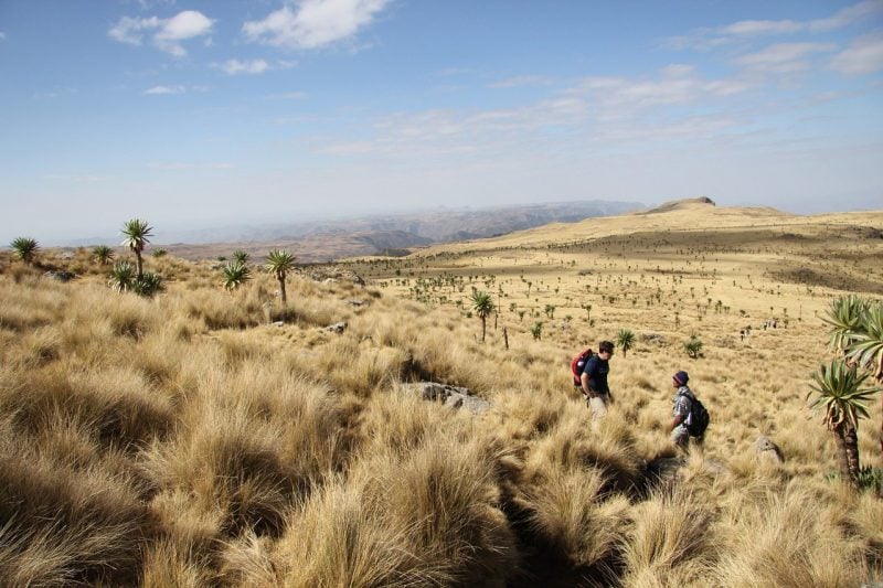 The Semien Mountains ethiopia