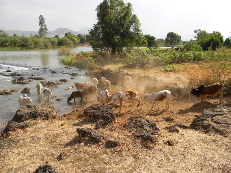 best things to see in ethiopia
