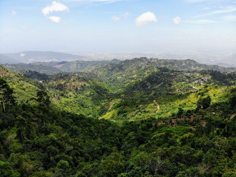 BLue mountains Jamaica