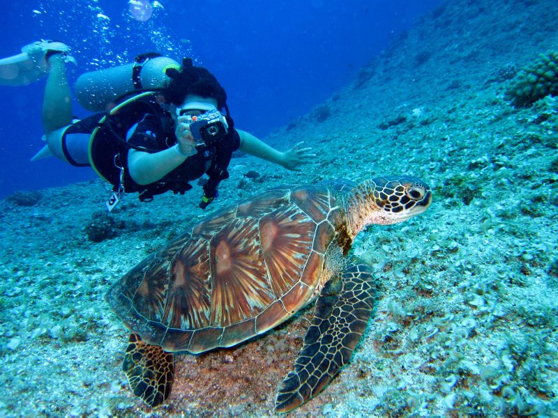 Buck Island Reef National Monument, St. Croix