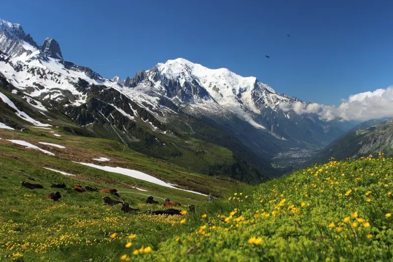 Tour du Mont Blanc - France, Italy & Switzerland