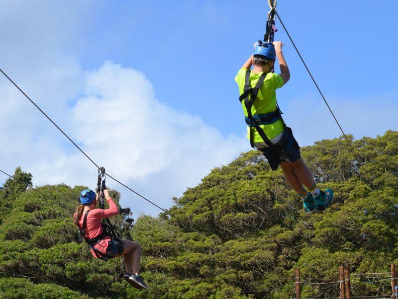 Tree Limin' Extreme Zipline, St. Thomas