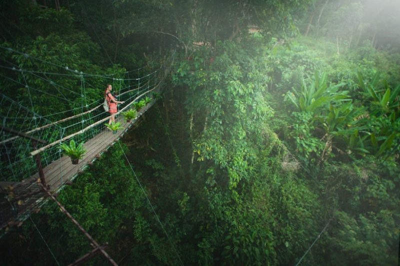Treetop Adventure Park saint lucia