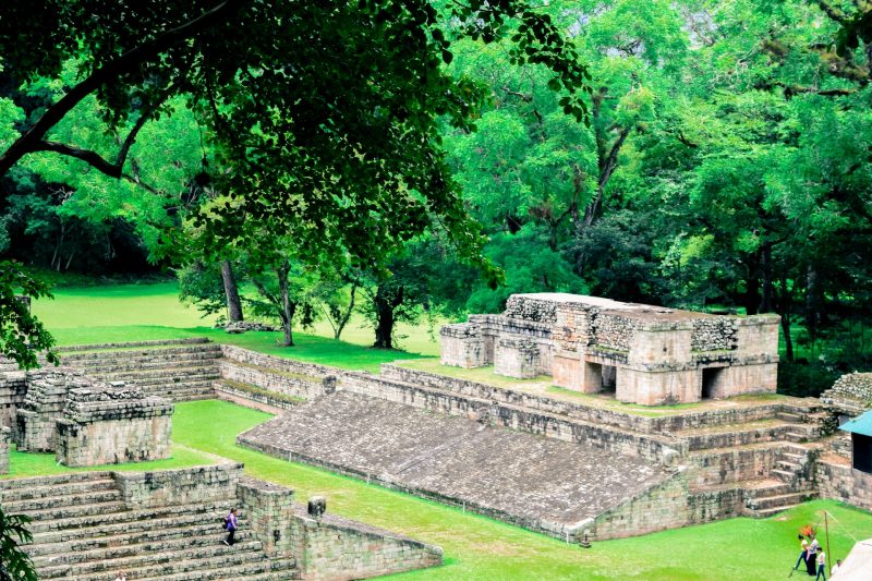 Copán Ruins & Macaw Mountain Bird Park