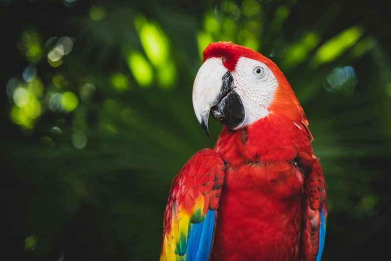 6 best places to visit in HONDURAS