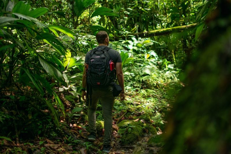 Rio Cangrejal & Pico Bonito National Park