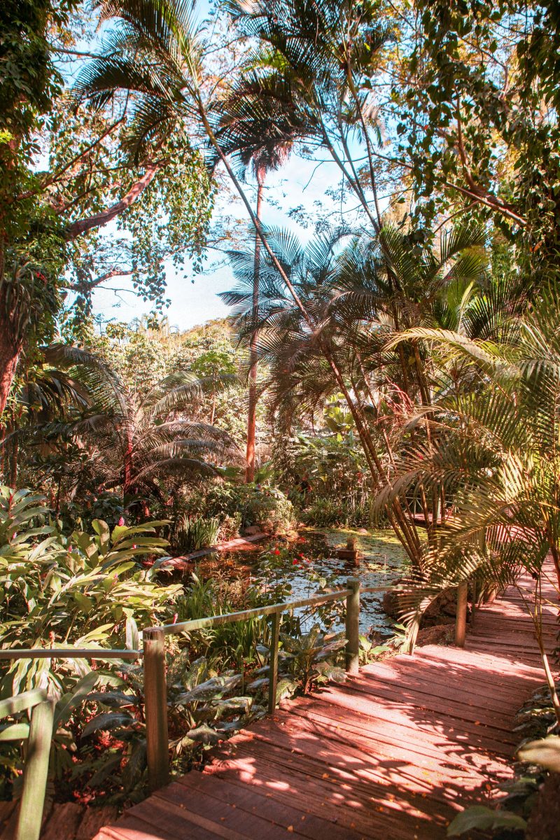 Garden of the Sleeping Giant, Viti Levu FIJI