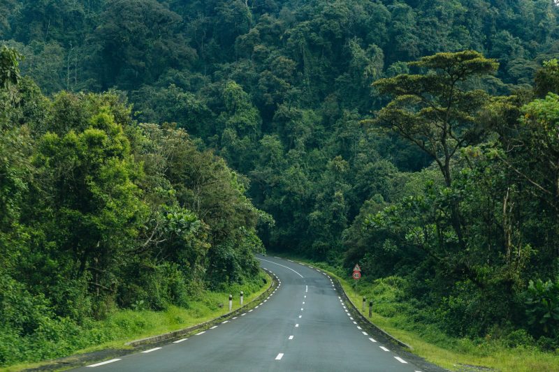 Nyungwe Forest National Park rwanda