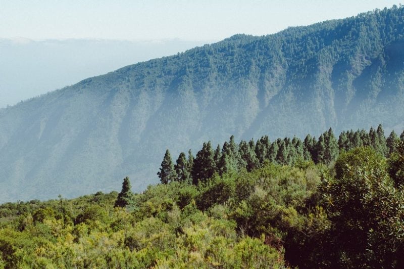Parque Rural de Anaga