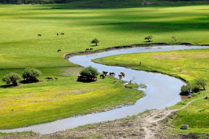Orkhon Valley mongolia