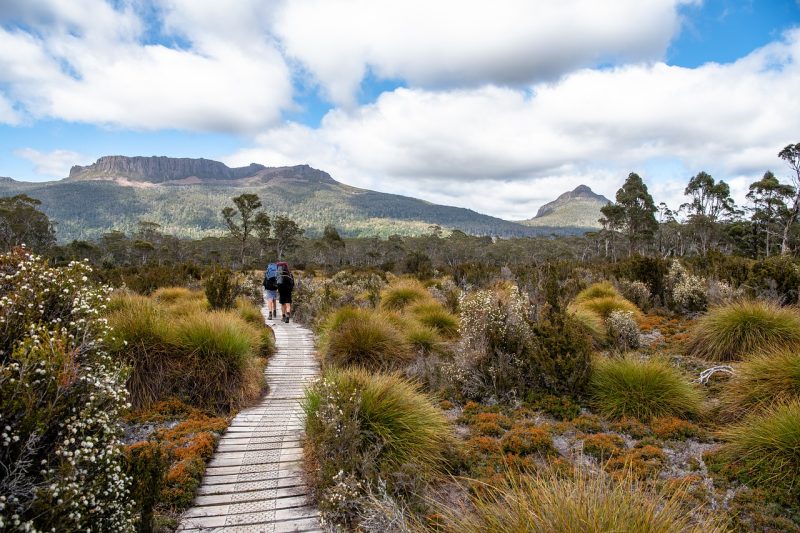Visit Tasmania