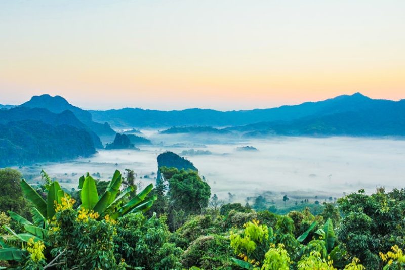 Khao Sok National Park thailand