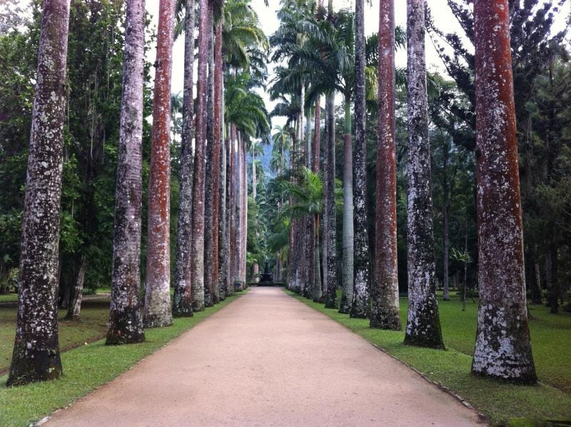 Botanical Garden (Jardim botânico)