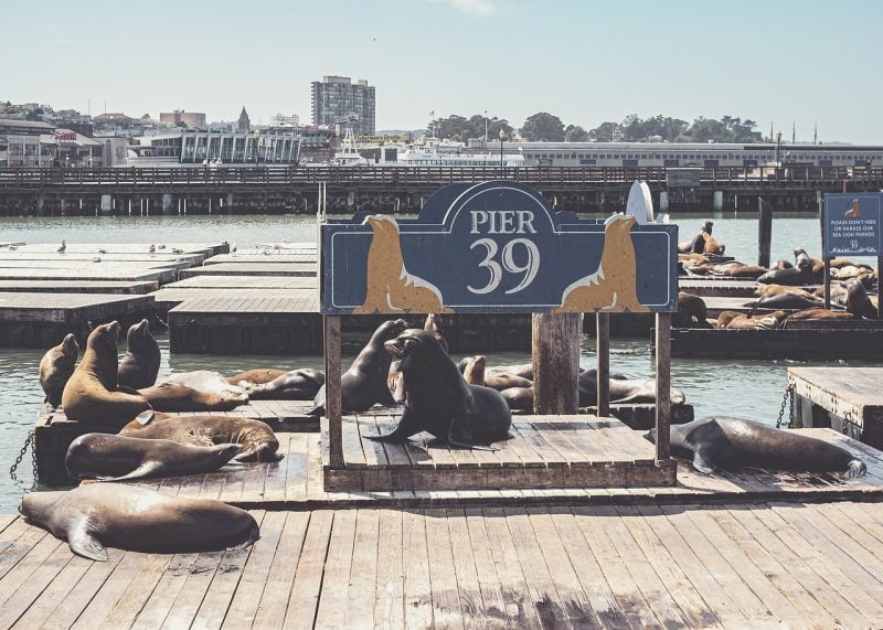 Fisherman’s Wharf & Pier 39 SanFrancisco