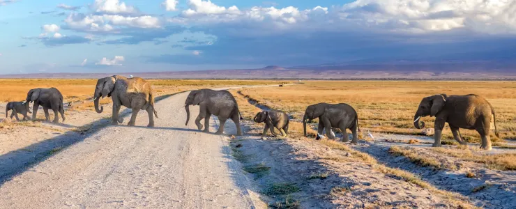 CHEAP! Full service flights from Istanbul to Nairobi, KENYA from €283