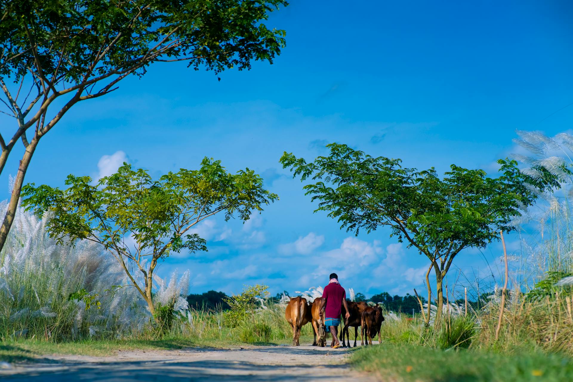 HIT! Full Service flights from Vienna to BANGLADESH for €294