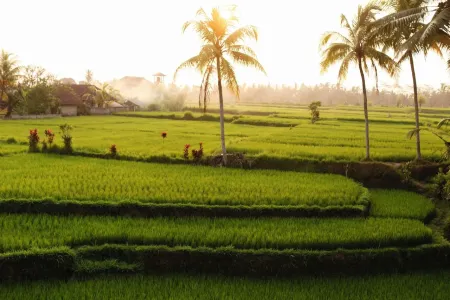 HIT! Full service flights from Brussels to Jakarta, INDONESIA from €398