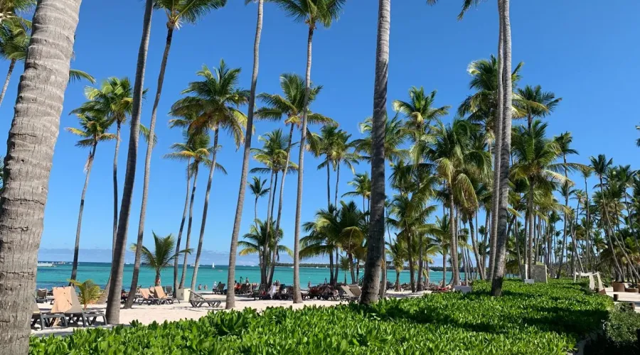 NON STOP flights from UK cities to Punta Cana, DOMINICAN REPUBLIC from £319
