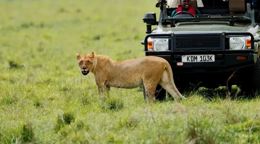 LAST MINUTE! NON STOP flights from Katowice / Warsaw to Mombasa, KENYA for €360 (checked baggage incl.)
