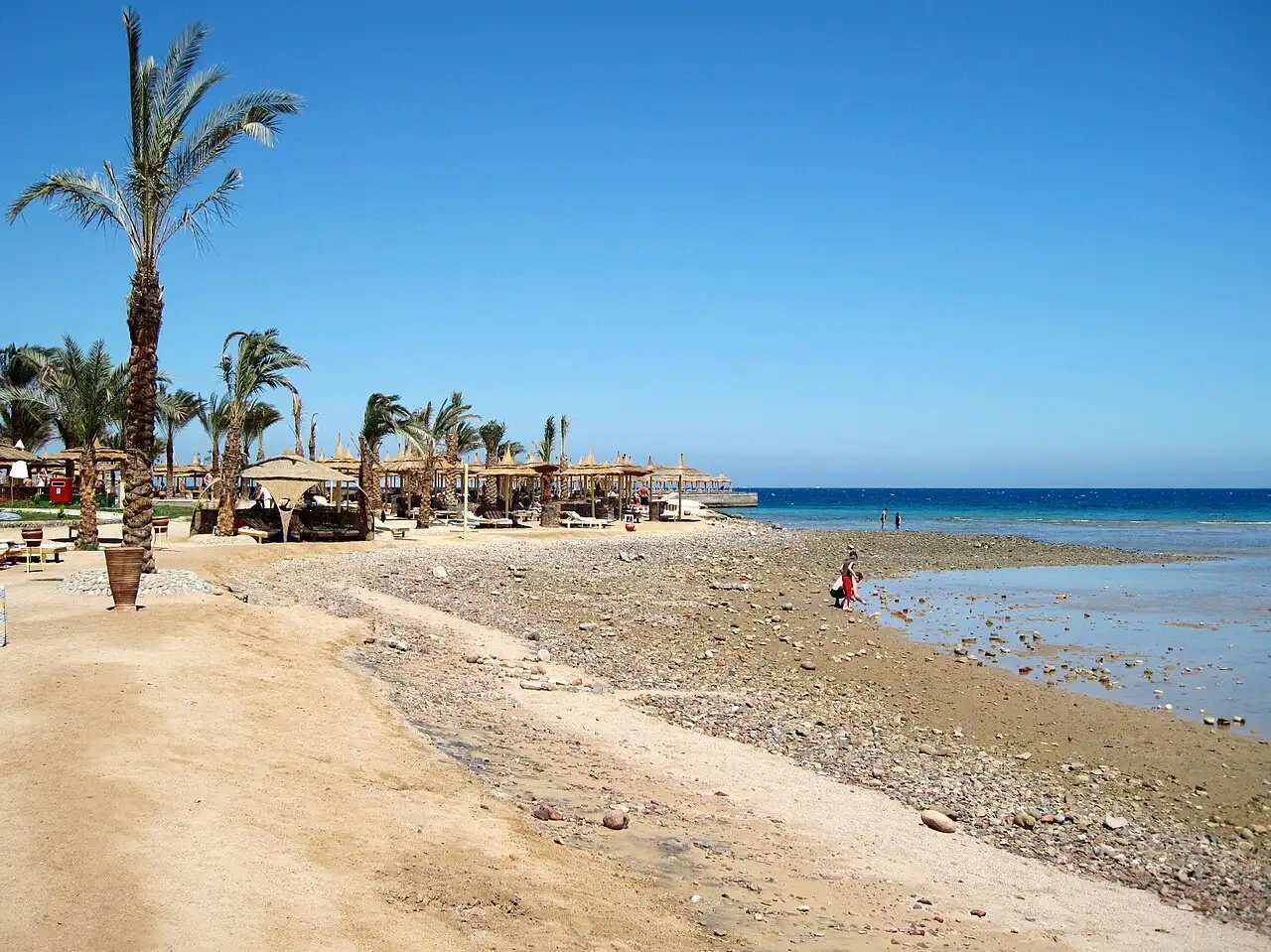 Palm trees, sunshades and a sand and pebble beach on the Red Sea in Hurghada, Egypt, under a clear blue sky