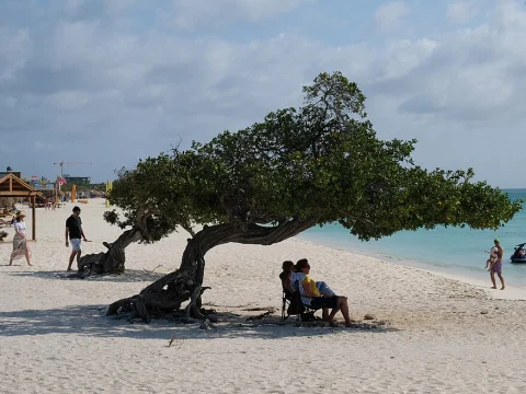 Aruba