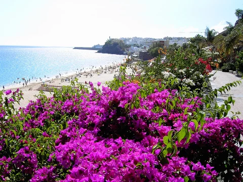 Fuerteventura