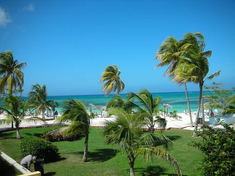 Holguin
